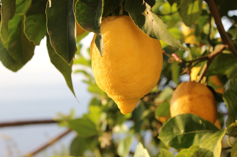 Итальянские лимоны
